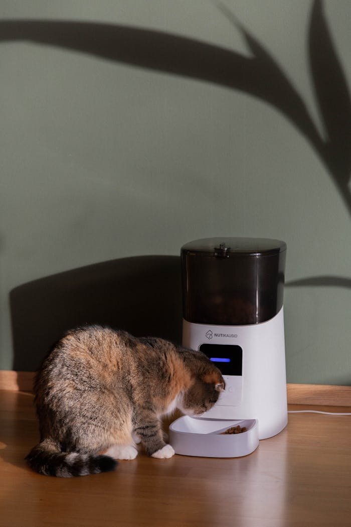 A tabby cat enjoys its meal from an automatic feeder, casting a cozy light.